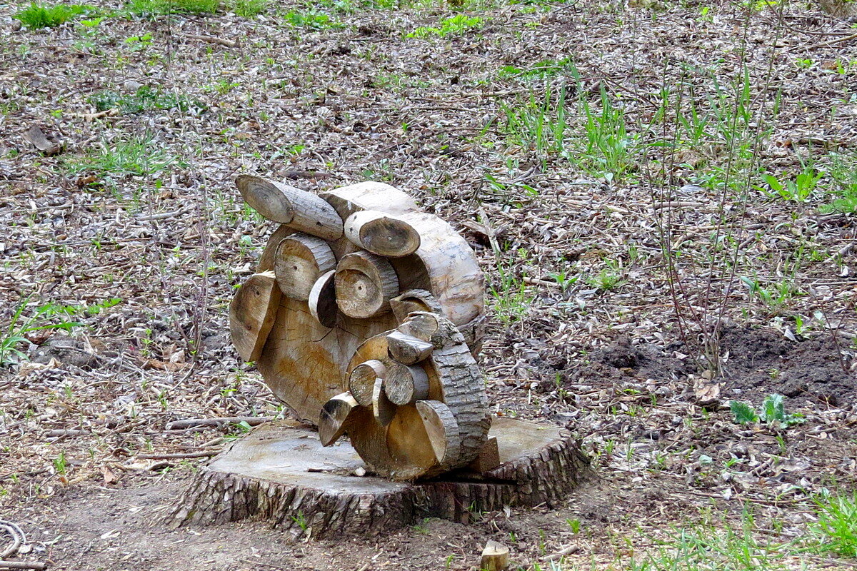 (°♠°) - Сеня Белгородский (°♠°) - Сеня Белгородский