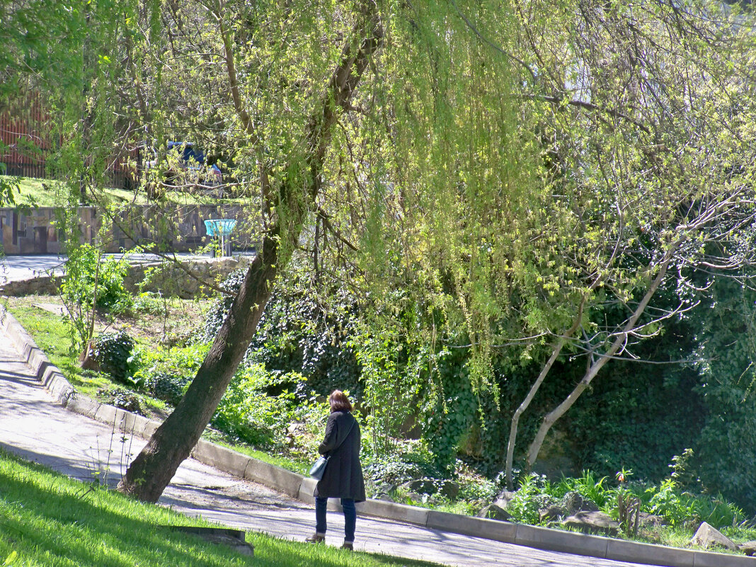 На подъёме - Валентин Семчишин