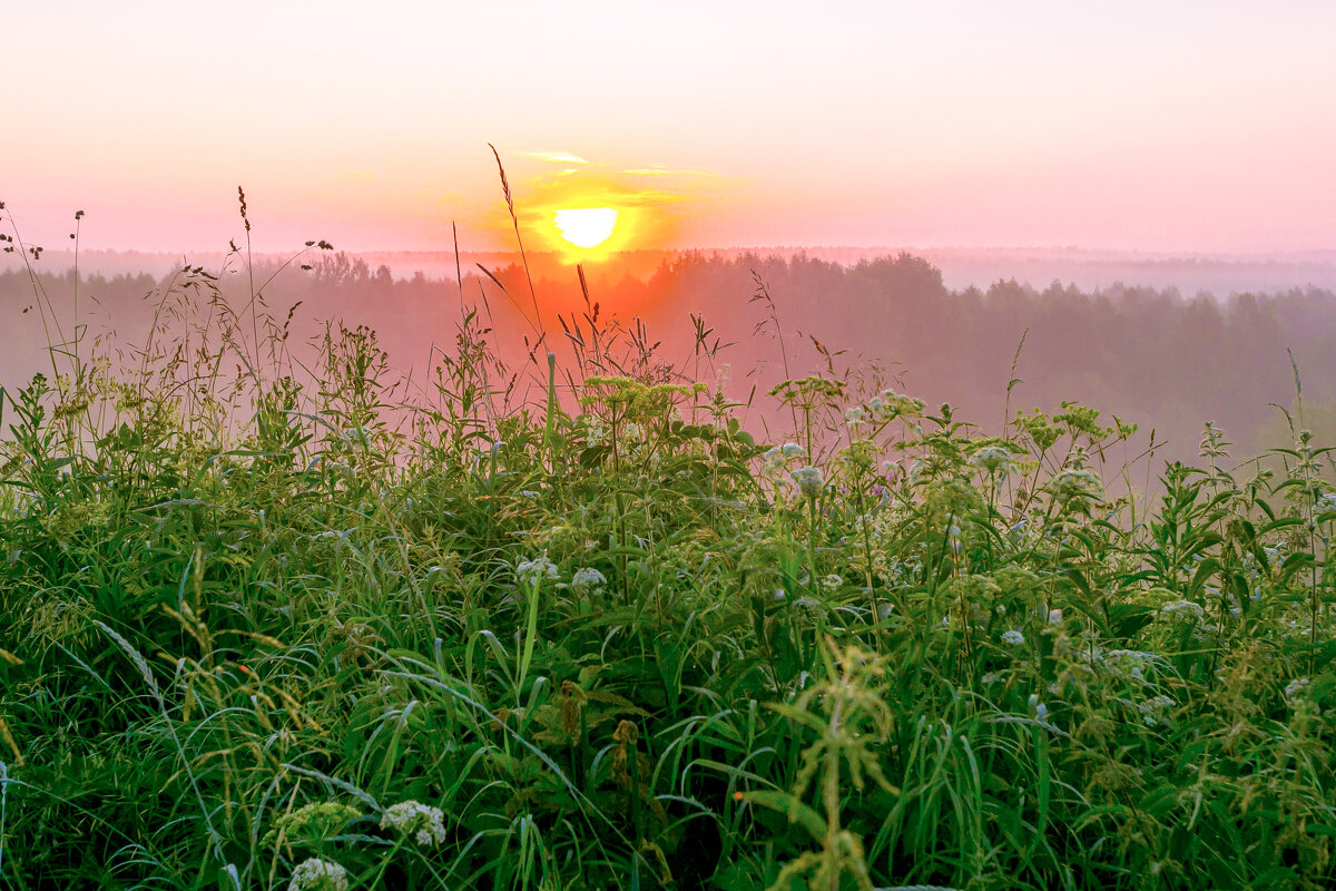 Утро - Александр Силинский