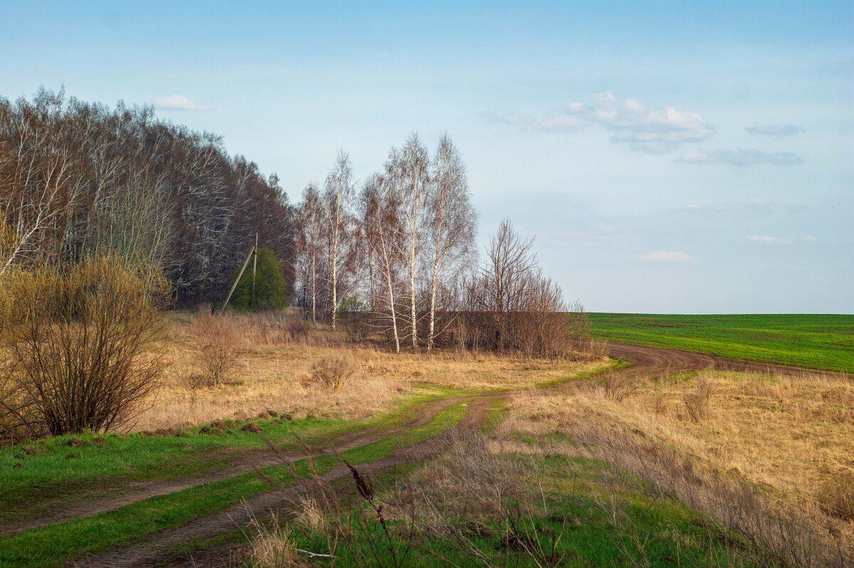 Весна - Дмитрий Ряховский