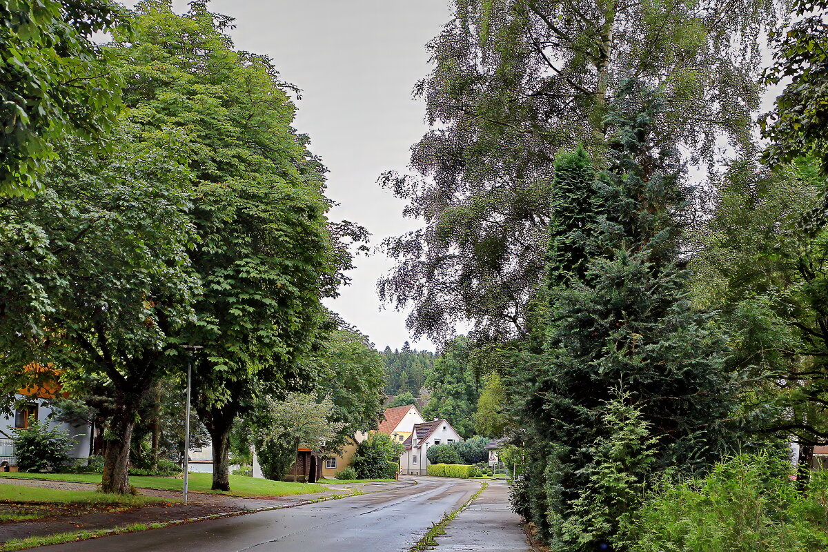 После дождя - Sergey Grim После дождя - Sergey Grim