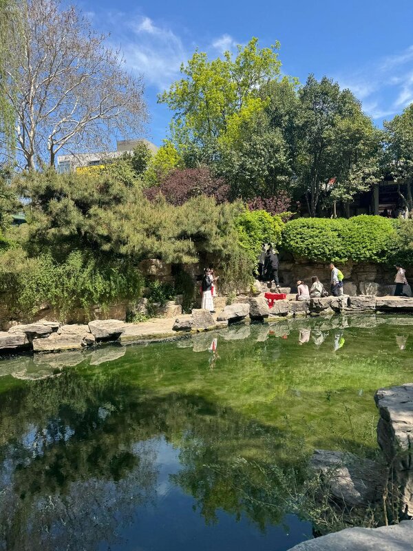 Весна в Китае - Ирэн 