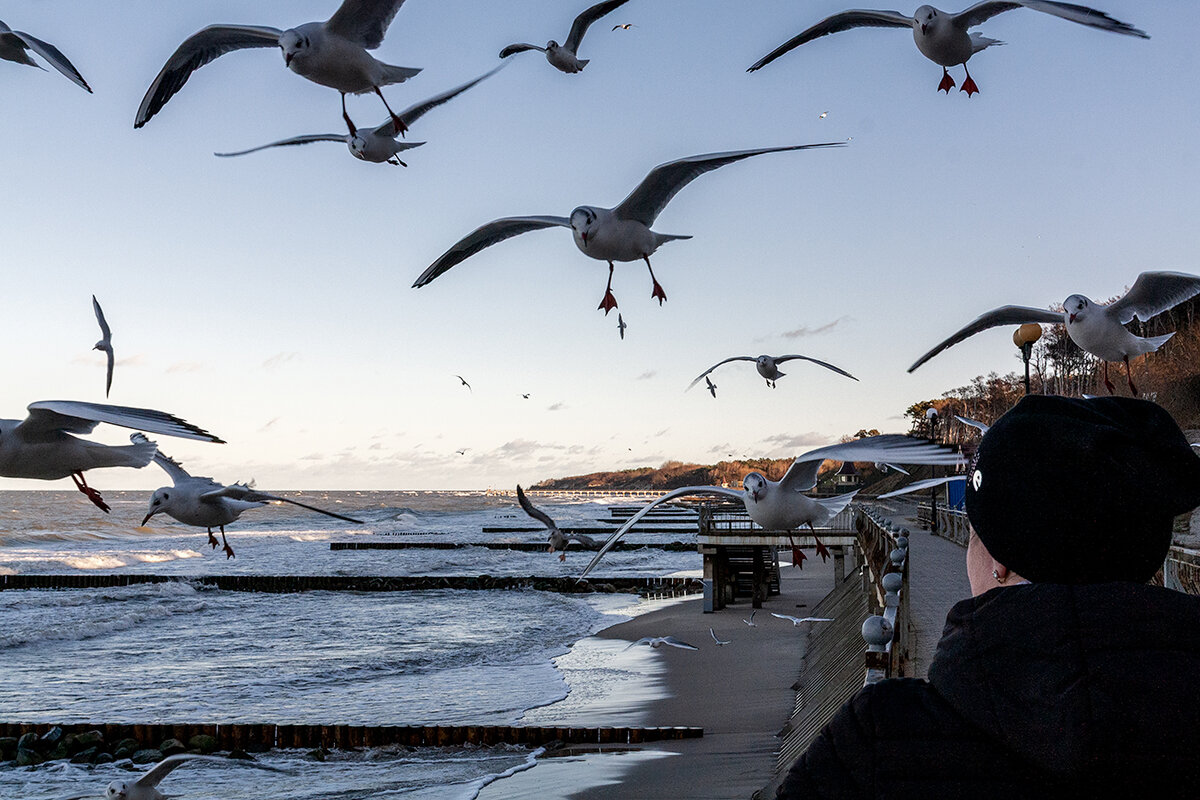 Балтика - Дмитрий 