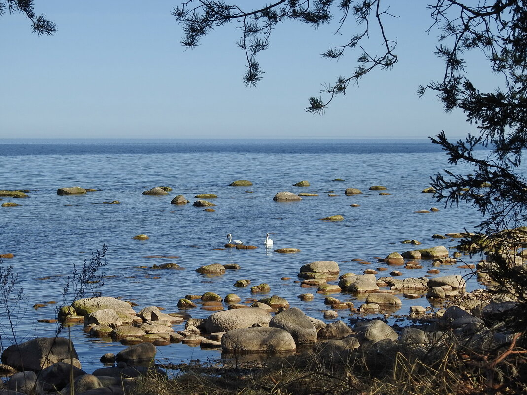 весна - ИННА ПОРОХОВА весна - ИННА ПОРОХОВА
