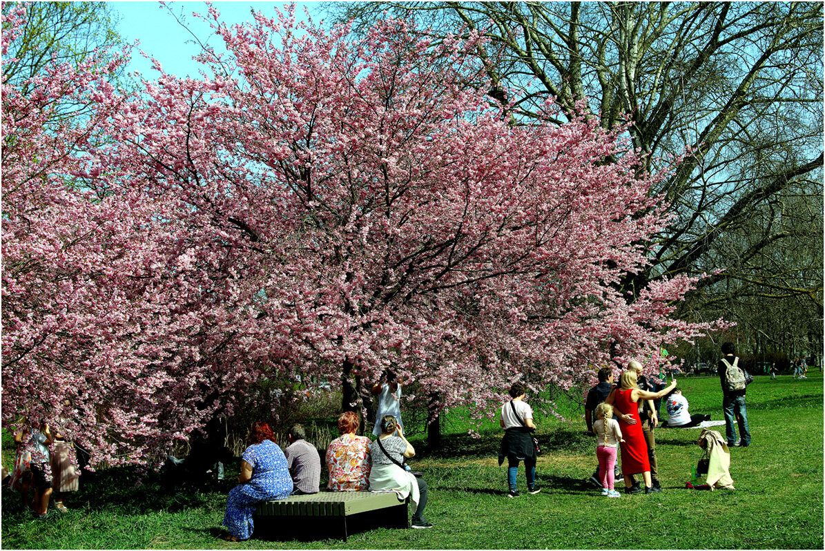 Первое тепло - Aleksandr Gal