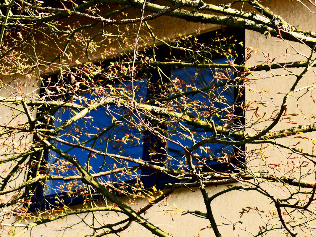 Весенние зарисовки 88 - Алексей Кузнецов