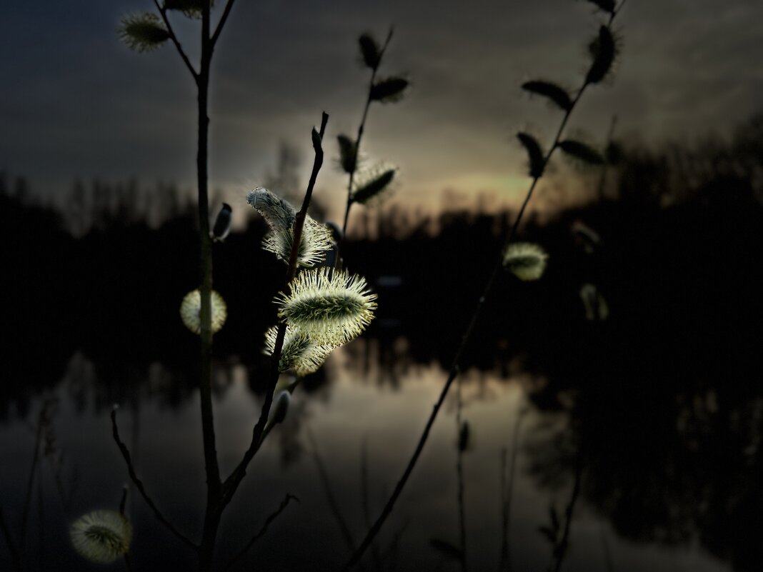 Вечереет - Дмитрий Иванов