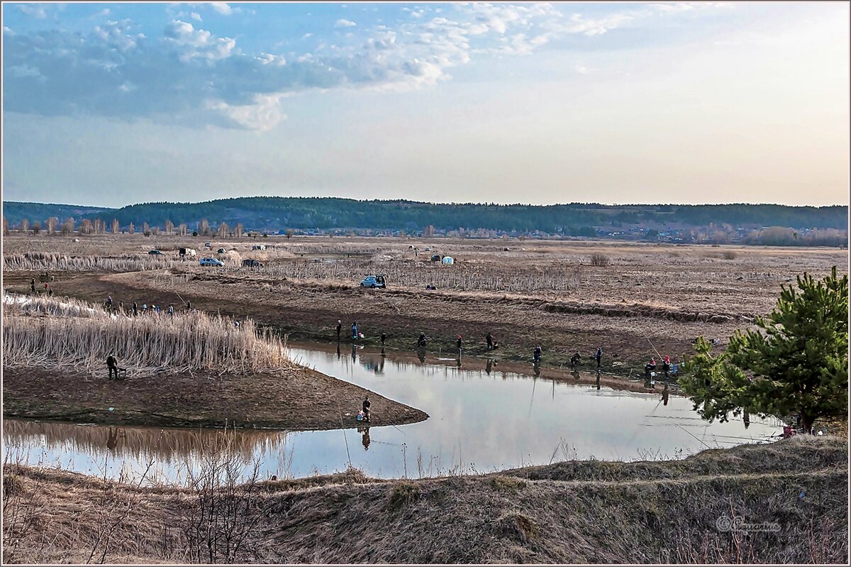Апрельское утро. - Aquarius - Сергей Апрельское утро. - Aquarius - Сергей