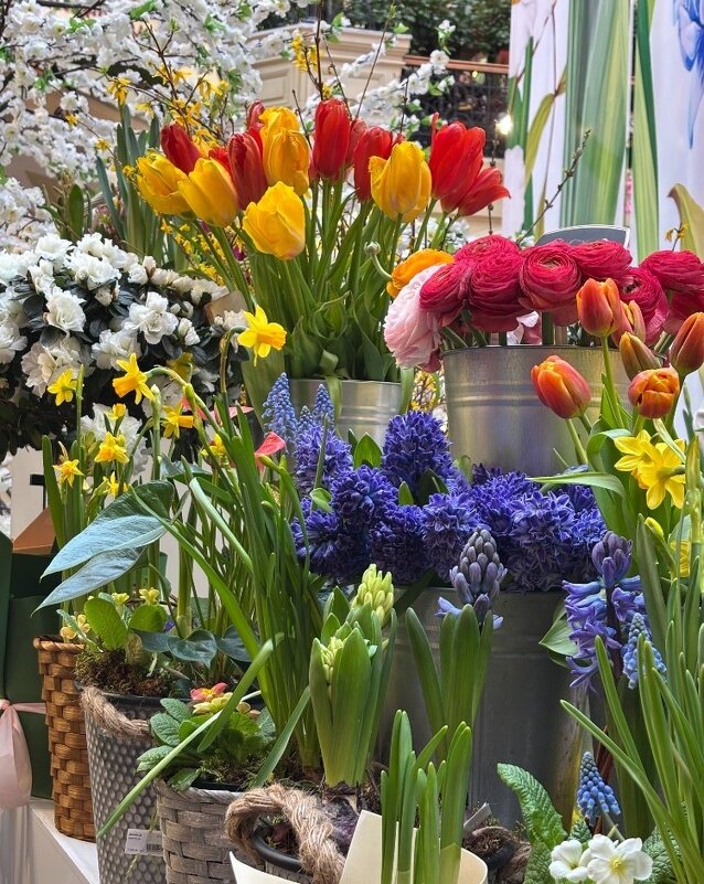 *** - Мария - Maria *** - Мария - Maria