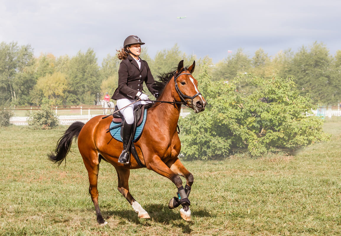 Конкур - SanSan 