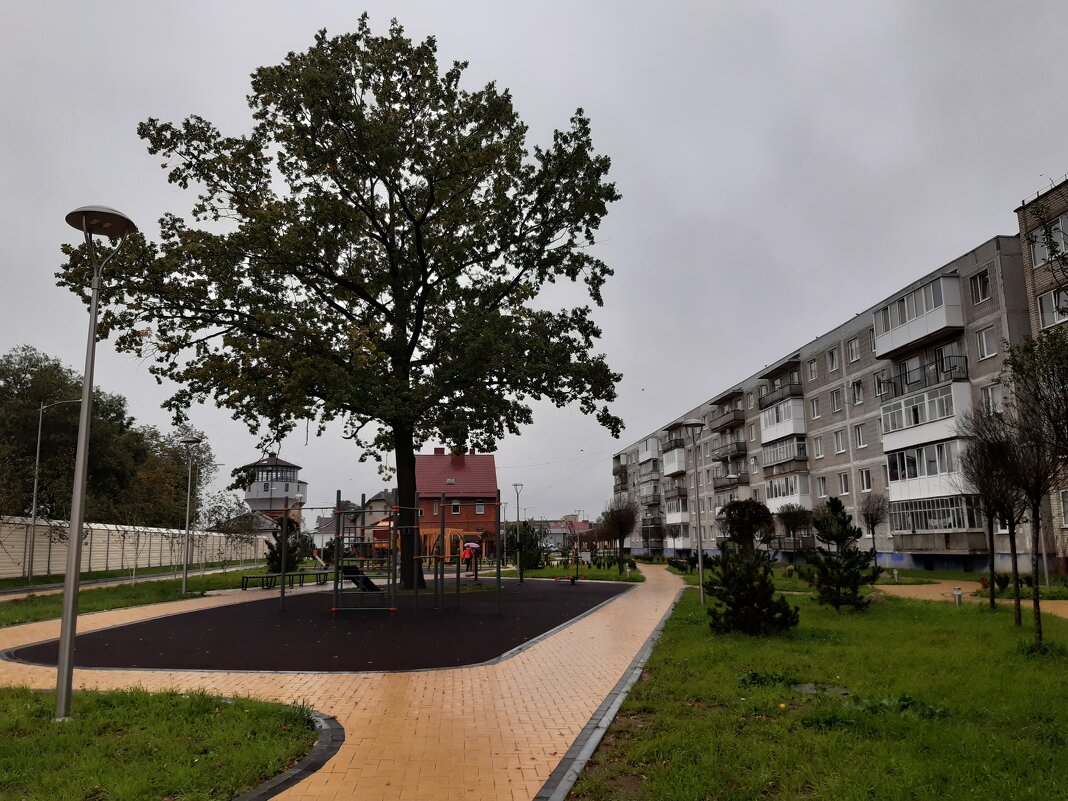 Гусев - Галина Минчук Гусев - Галина Минчук