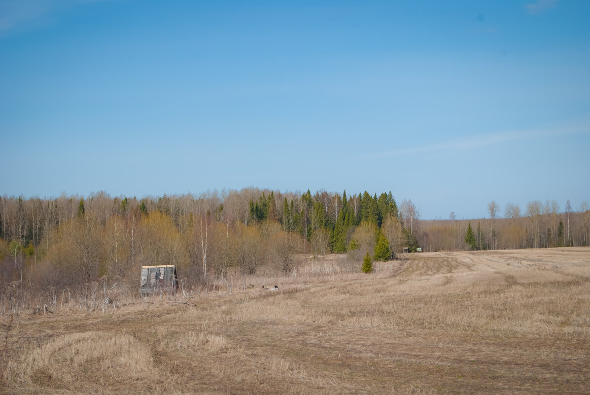 Апрель - Анастасия Логинова Апрель - Анастасия Логинова