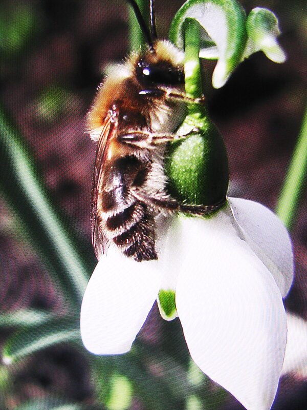 Отдыхает - Людмила Смородинская