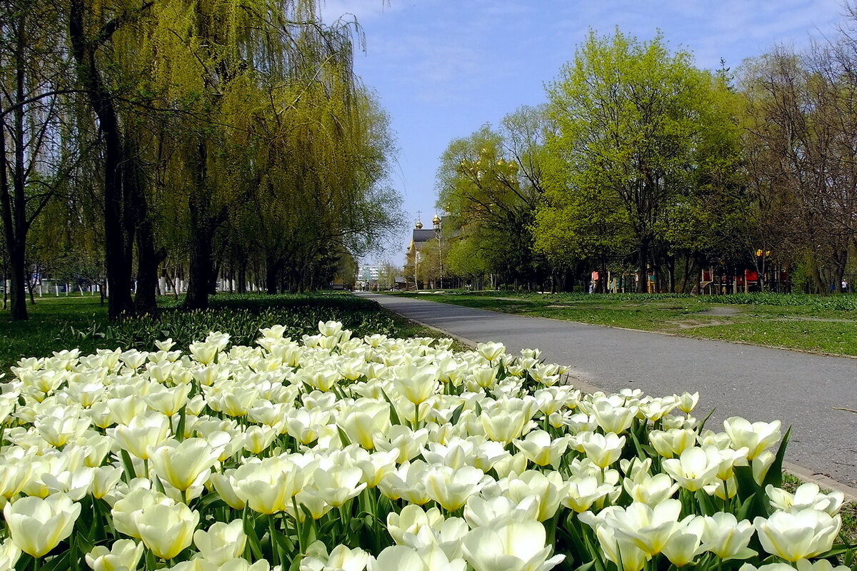 К храму - Фёдор Меркурьев К храму - Фёдор Меркурьев