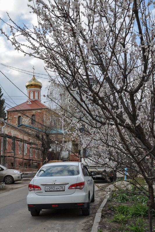 Весна на ул. 25 Октября - Татьяна Машошина Весна на ул. 25 Октября - Татьяна Машошина
