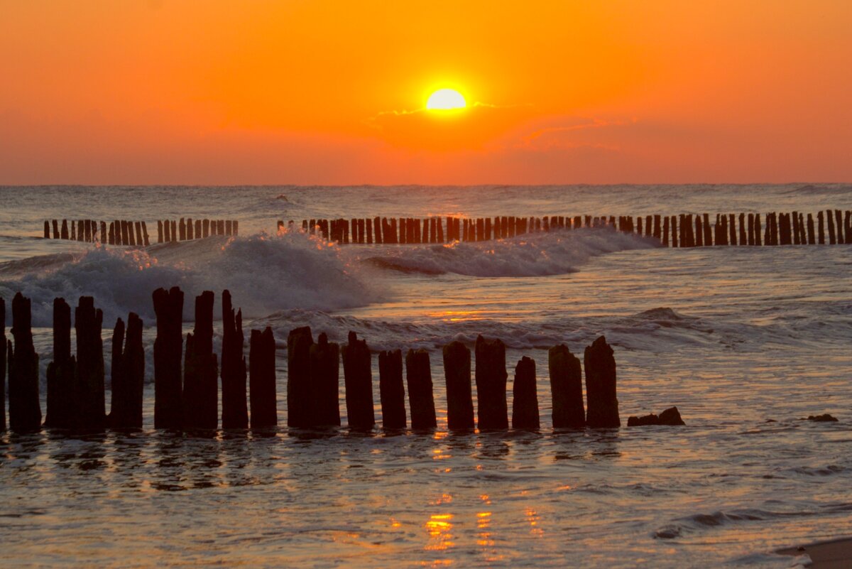 Утро - Юрий. Шмаков