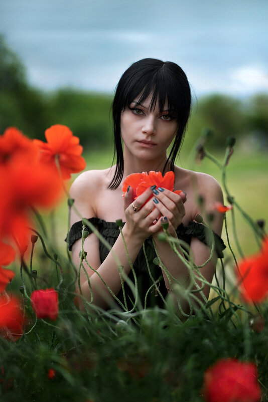 *** - Viktoria Anufrieva
