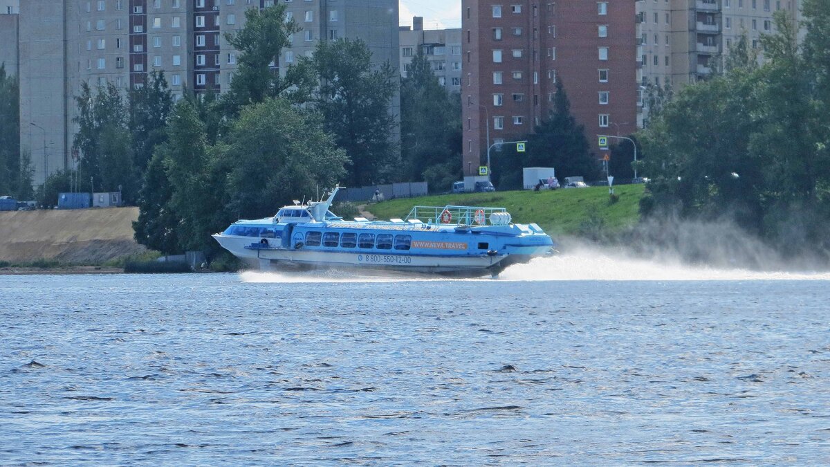 На Неве - alemigun На Неве - alemigun