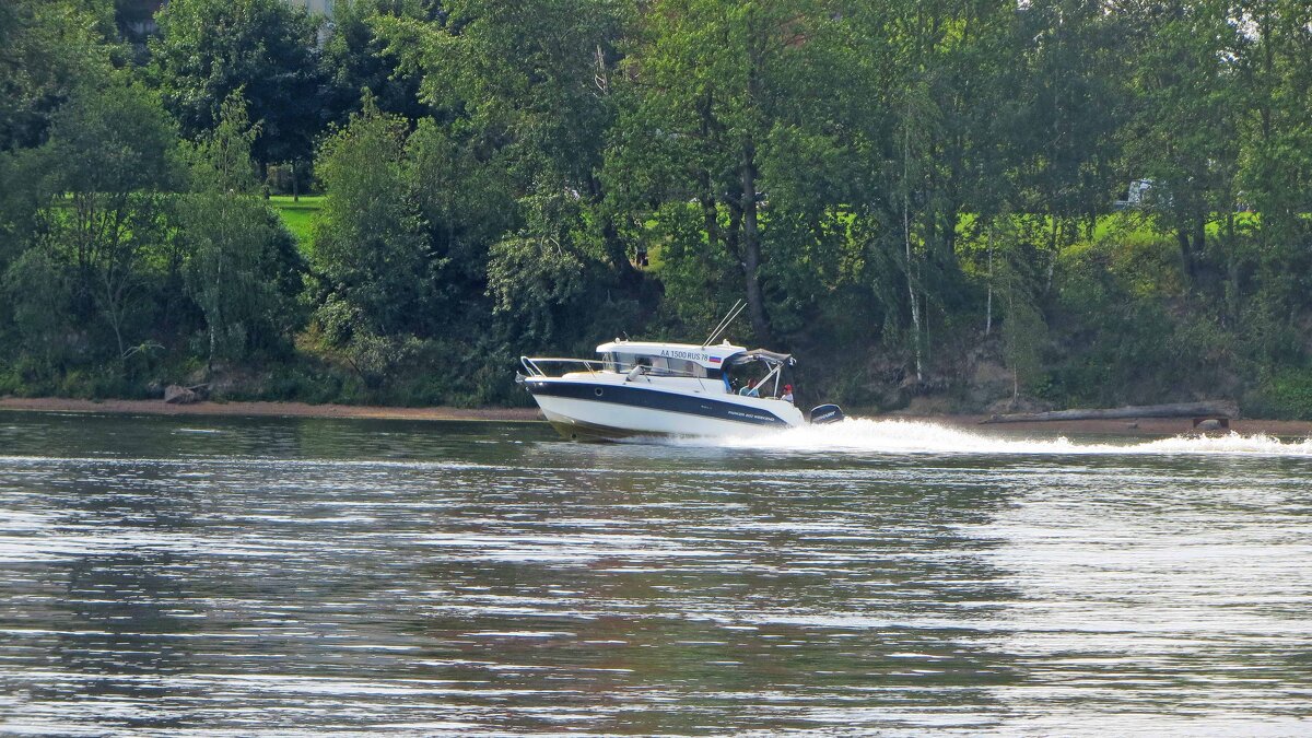 На Неве - alemigun На Неве - alemigun