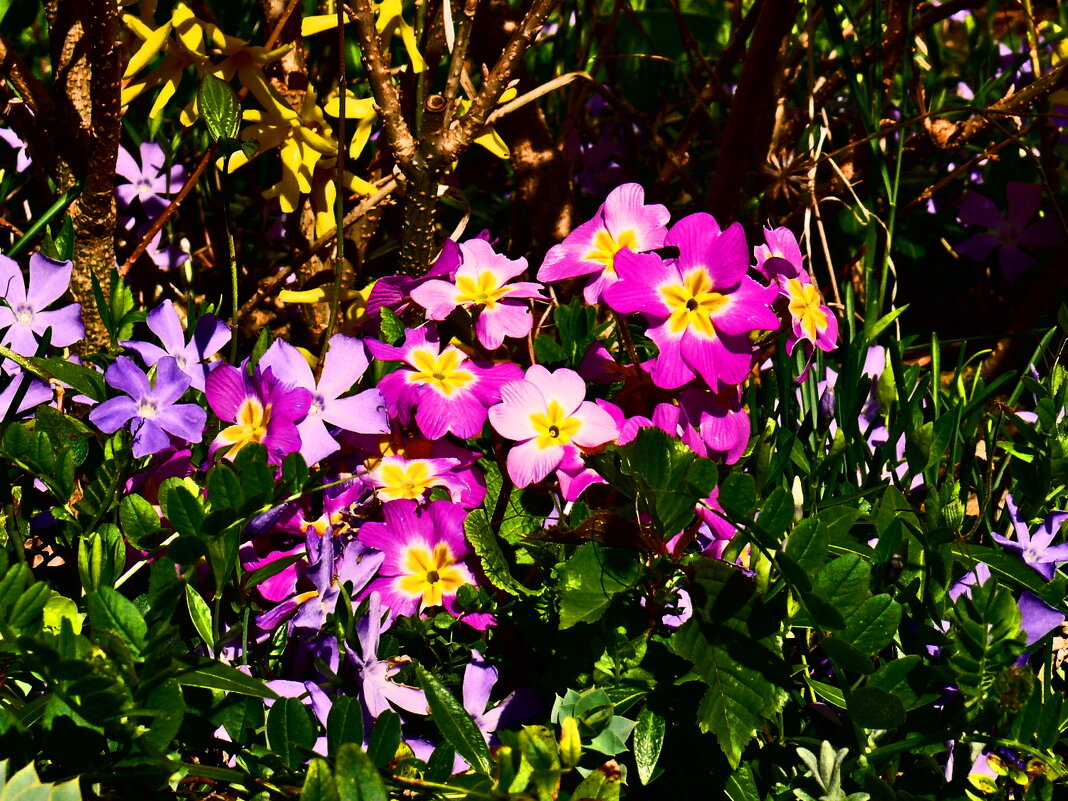 Весенние зарисовки 92 - Алексей Кузнецов