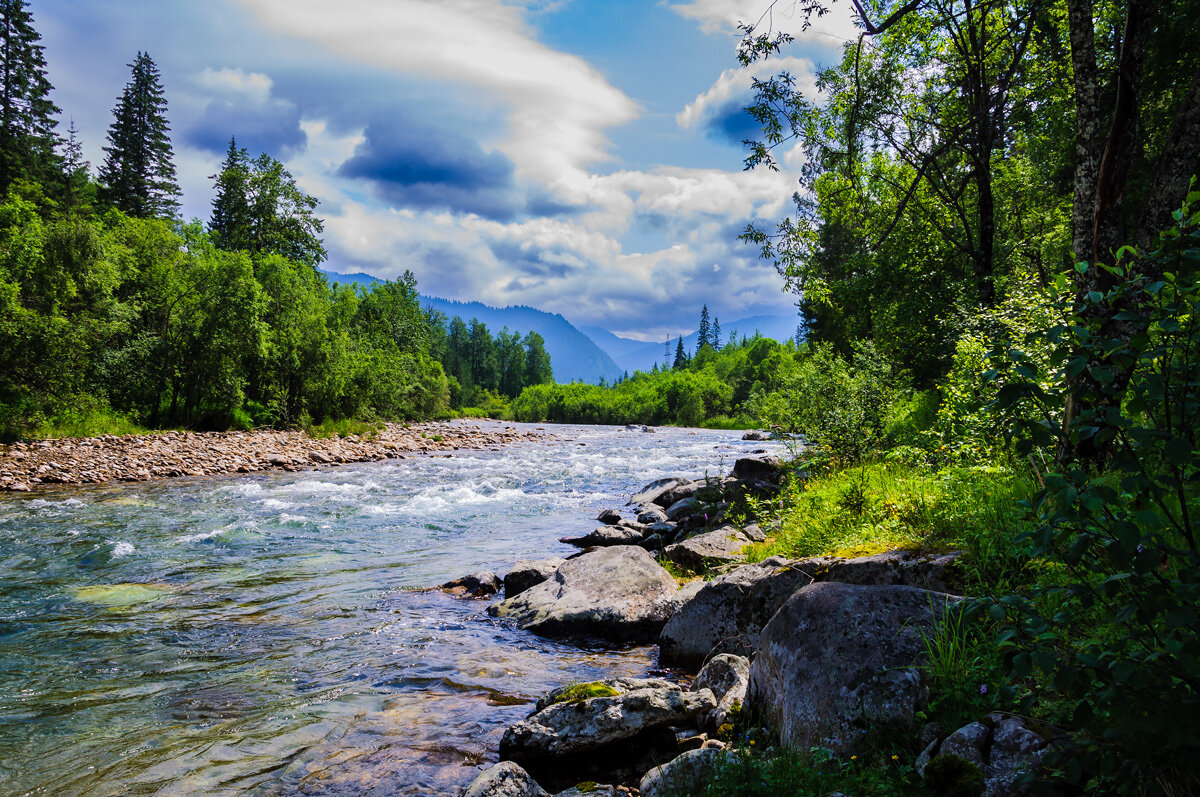 Река Осиновка - Ричард Панков