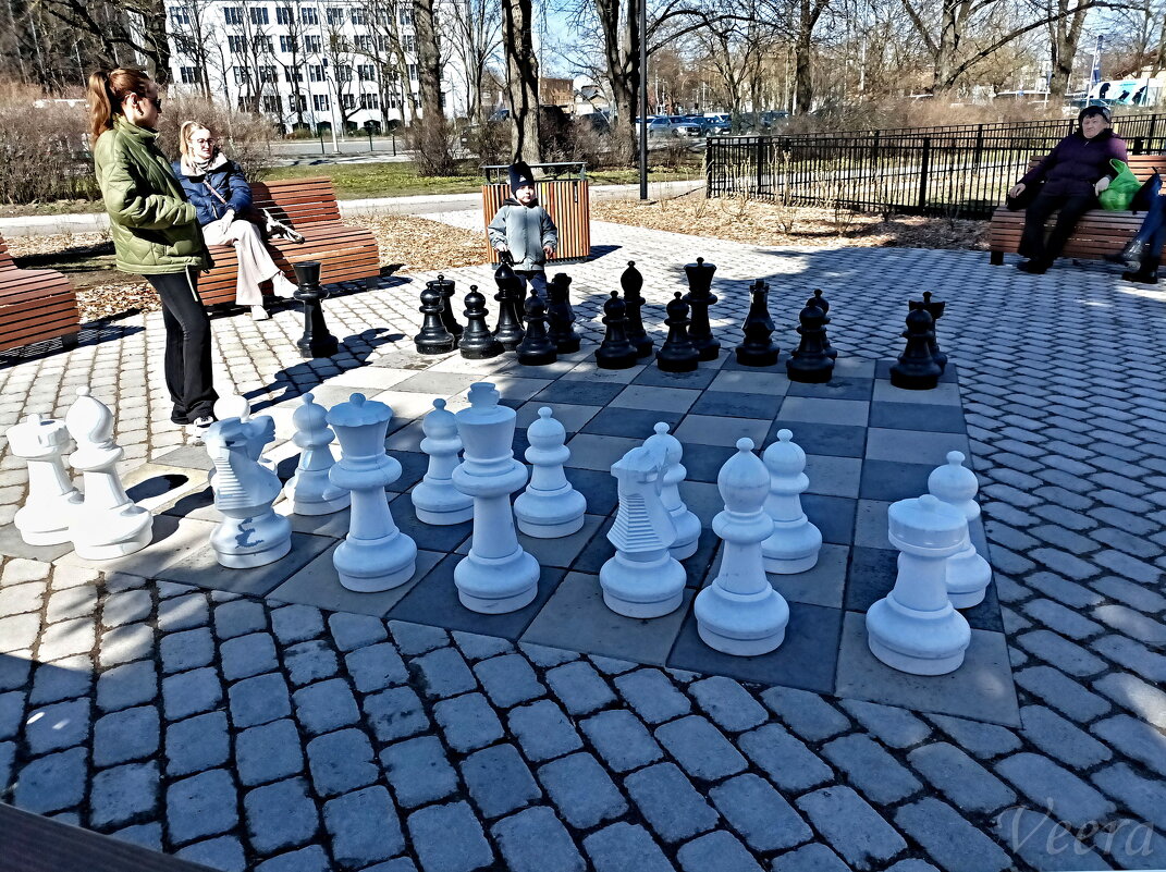 Шахматы - Veera V Шахматы - Veera V