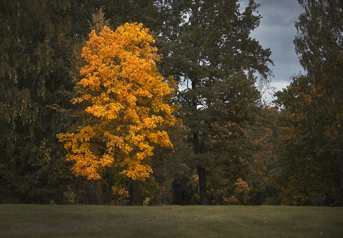 не такое, как все - Alexander Asedach не такое, как все - Alexander Asedach