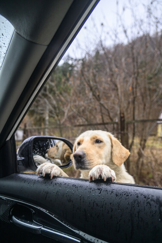 может... это вы для меня собирали еду? - Осень может... это вы для меня собирали еду? - Осень