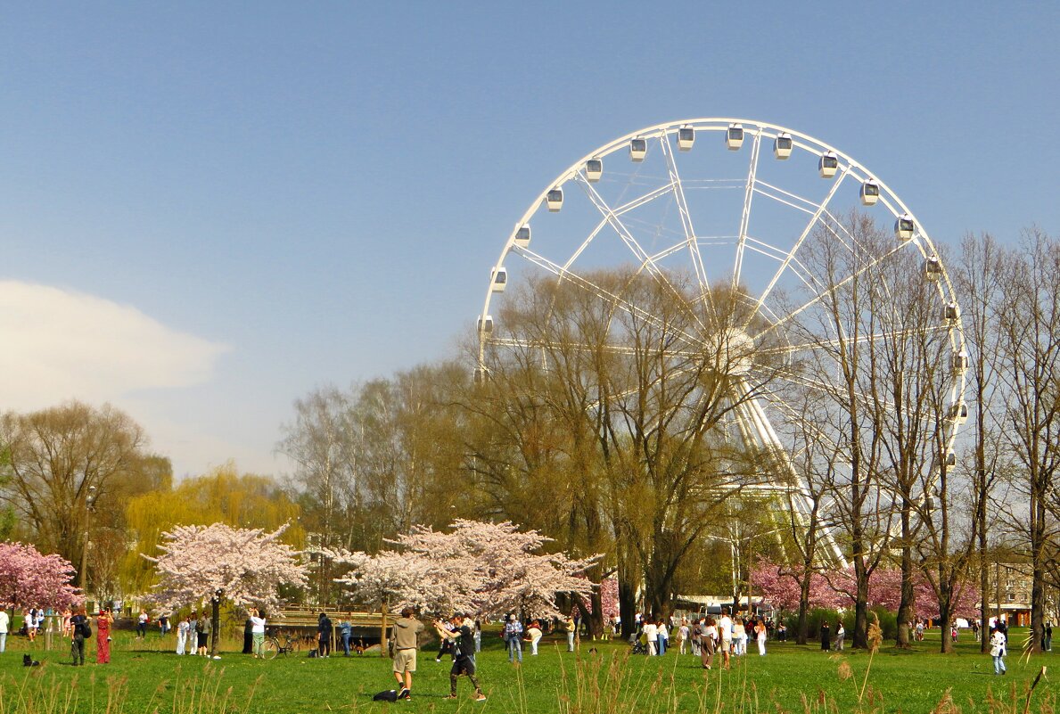 парк - марта Камушкина парк - марта Камушкина