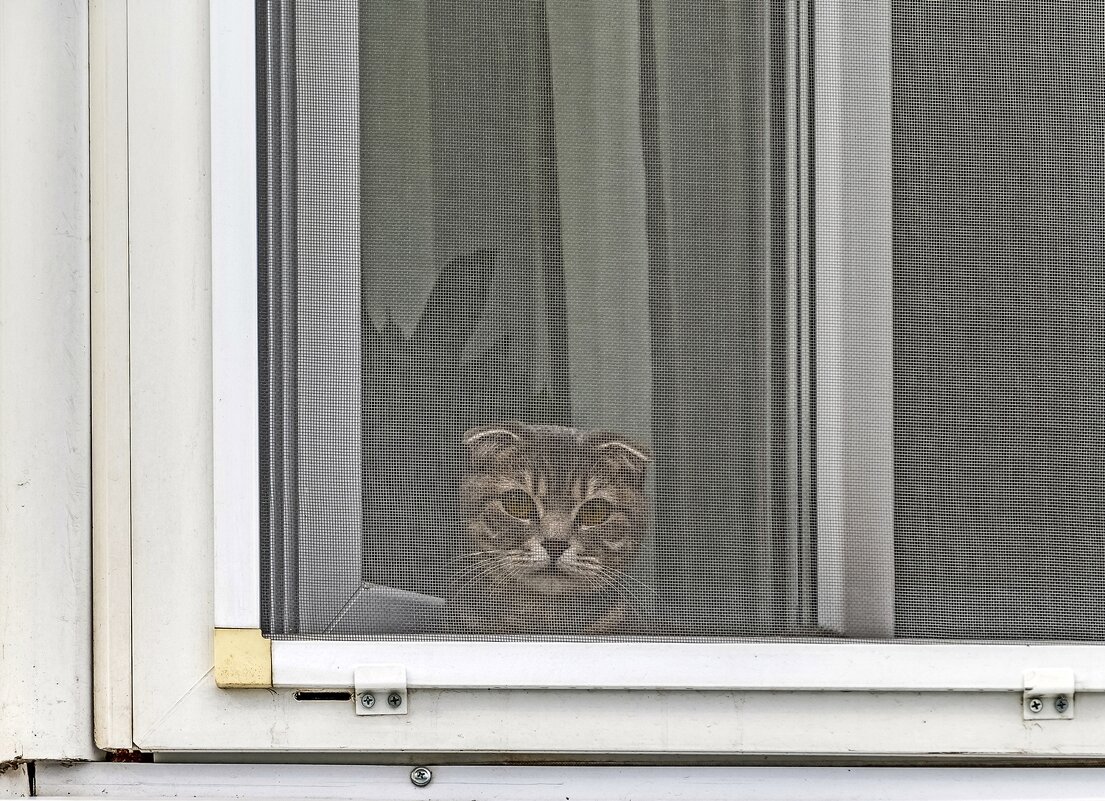 Не пускают( - Валерий Иванович