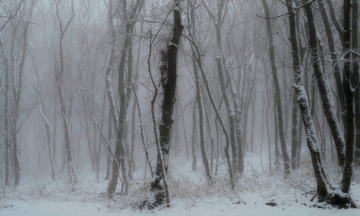 Метель..,.. - Юрий Цыплятников Метель..,.. - Юрий Цыплятников