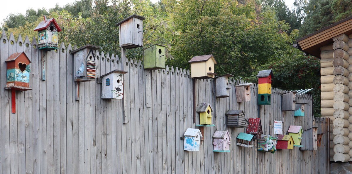 Общежитие - Дмитрий Петров