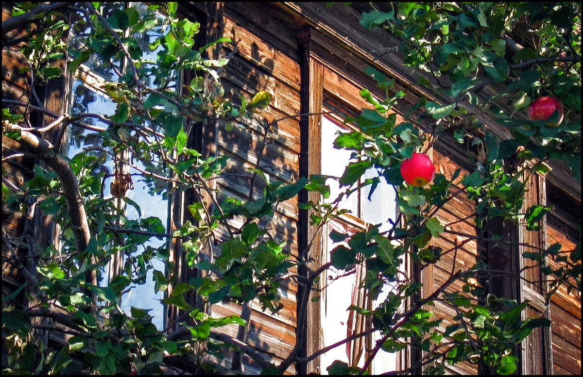 Домик окнами в сад - **** vedin Домик окнами в сад - **** vedin