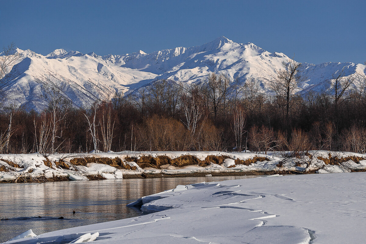 ... - Жора Житников ... - Жора Житников
