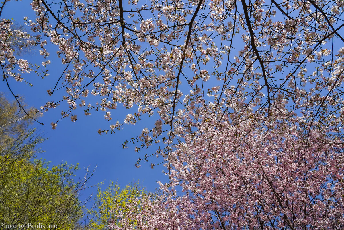 Небо апреля... - Владимир Жданов Небо апреля... - Владимир Жданов