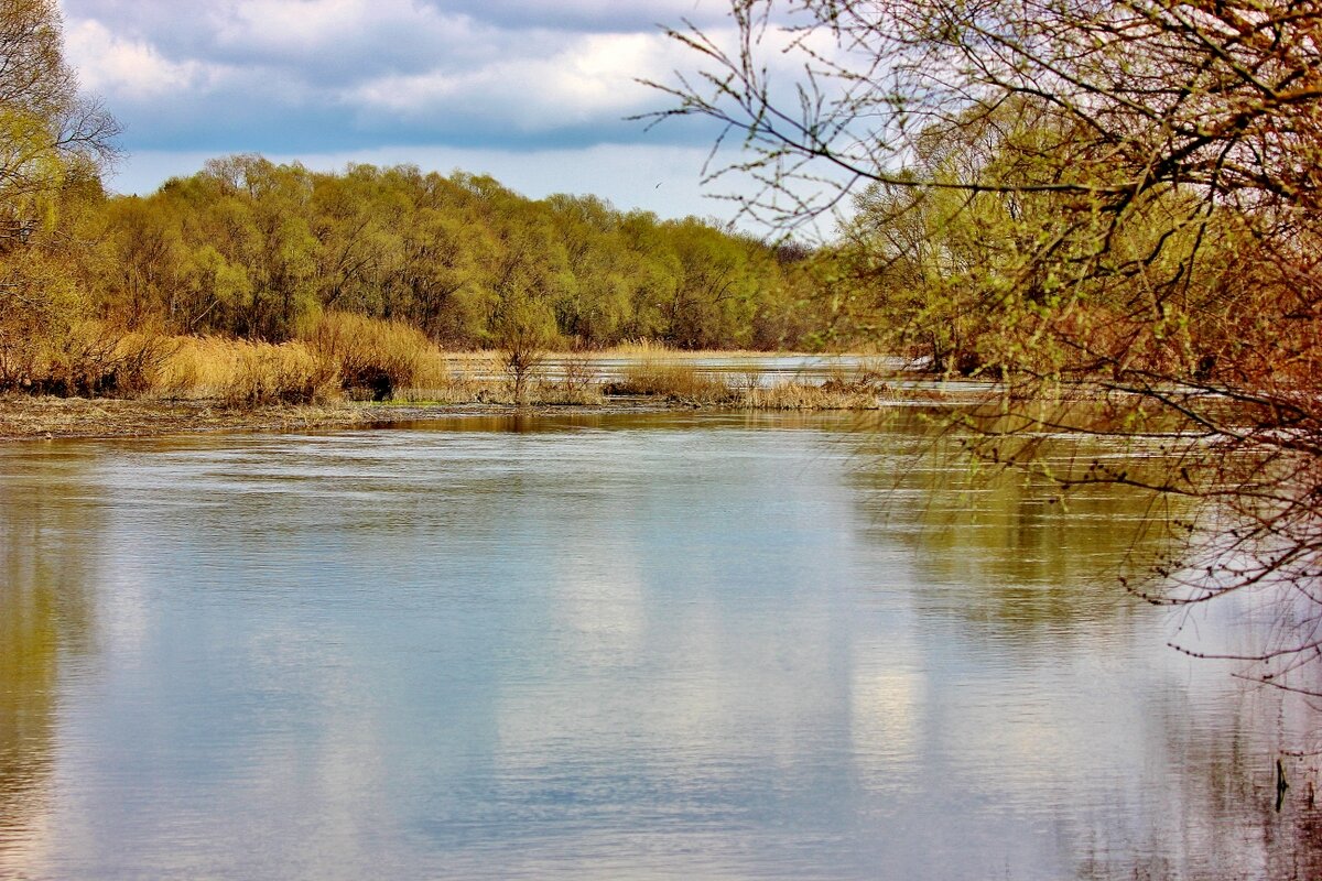 И снова о Хопре. - Восковых Анна Васильевна 