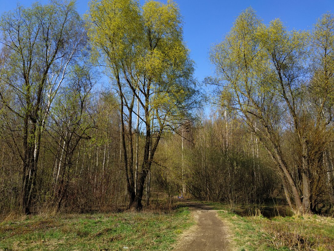 В моём храме - Андрей Лукьянов В моём храме - Андрей Лукьянов