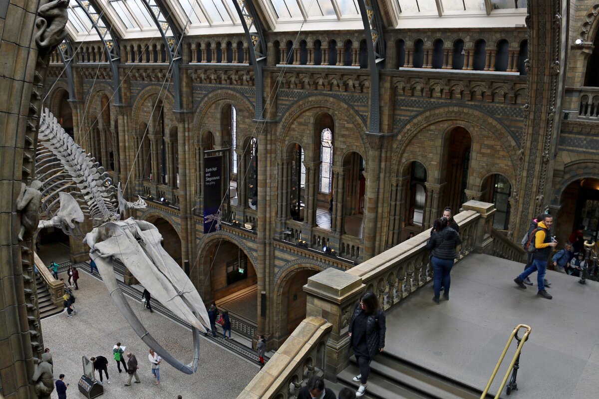 В музее естествознания - Ольга В музее естествознания - Ольга