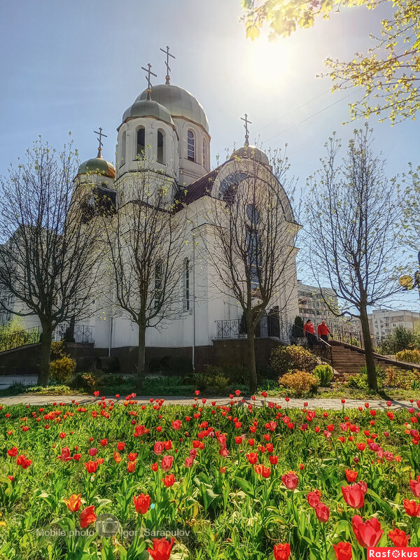 Пасхальная неделя - Игорь Сарапулов