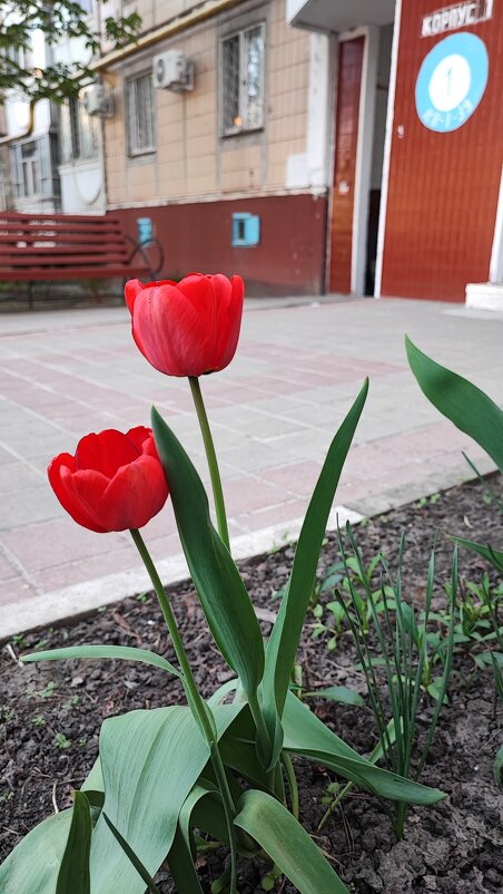 ,,, - Сергей Тимоновский