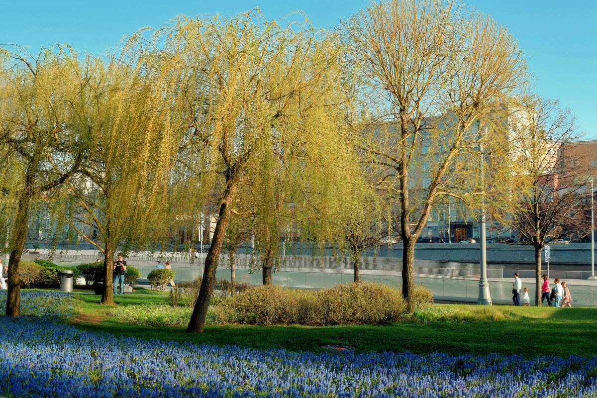 Лето в апреле. - Татьяна Помогалова Лето в апреле. - Татьяна Помогалова