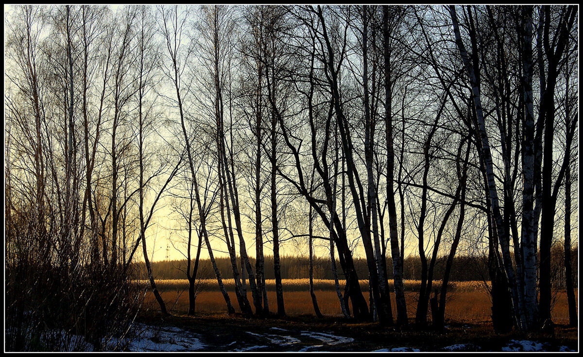 *** - Aleksandr Gal