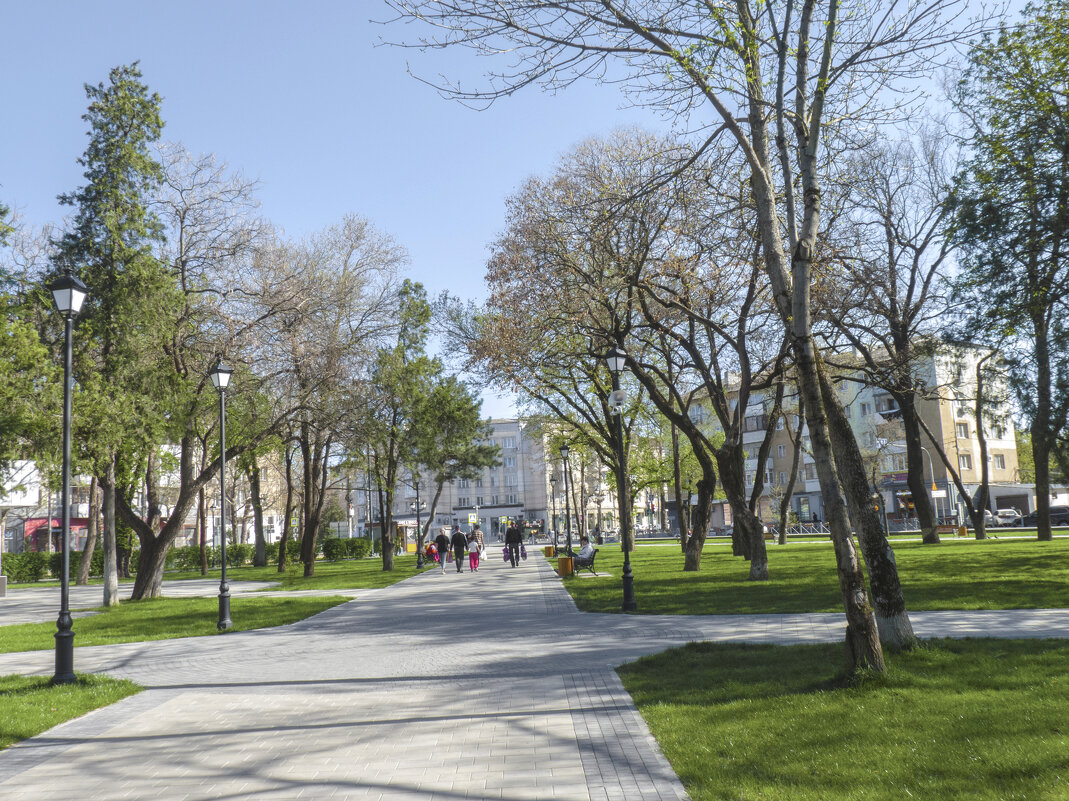 Аллея в парке Тренёва - Валентин Семчишин