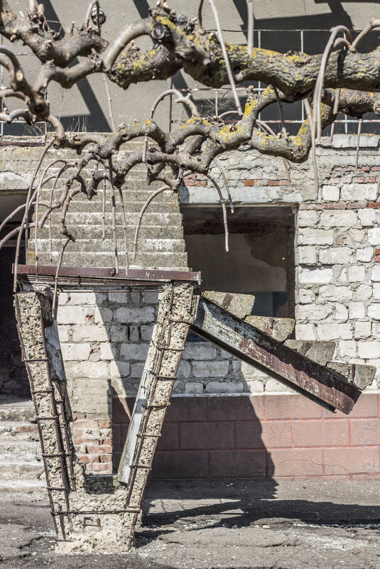 Классическая архитектура соцлагеря - Коля Лукашов