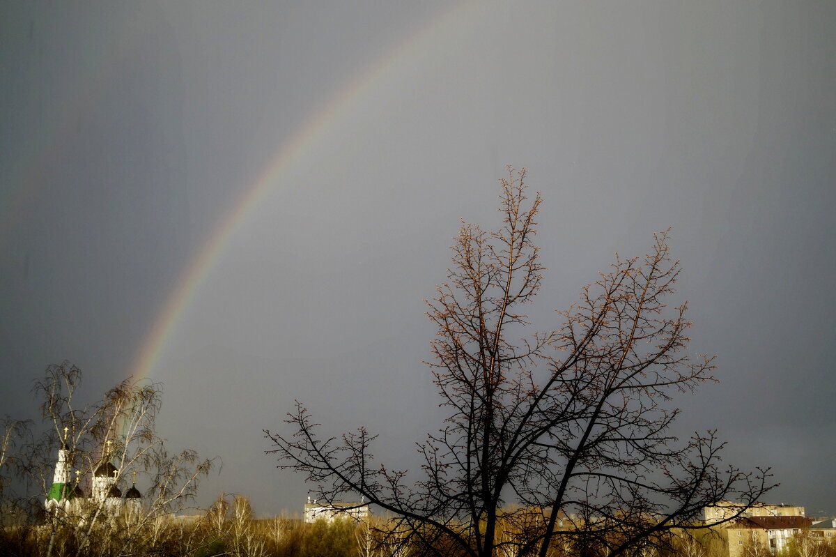 Regenbogen - Maria Rainer