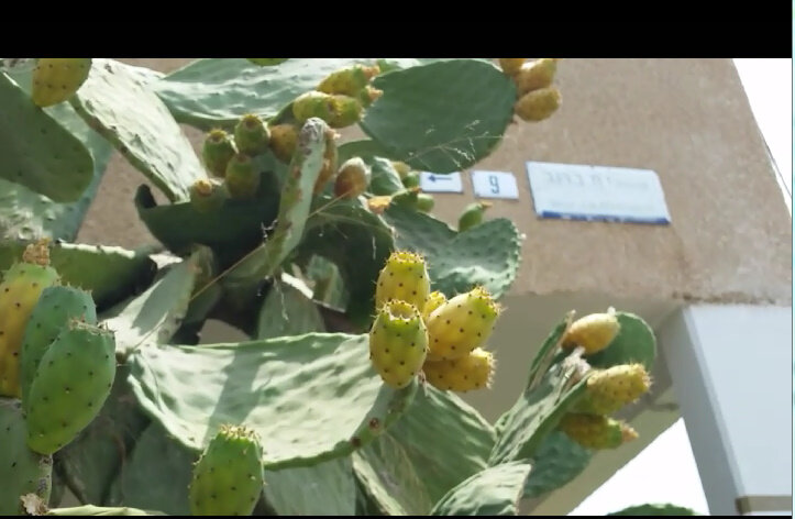 111 (34) - СТРЕН 