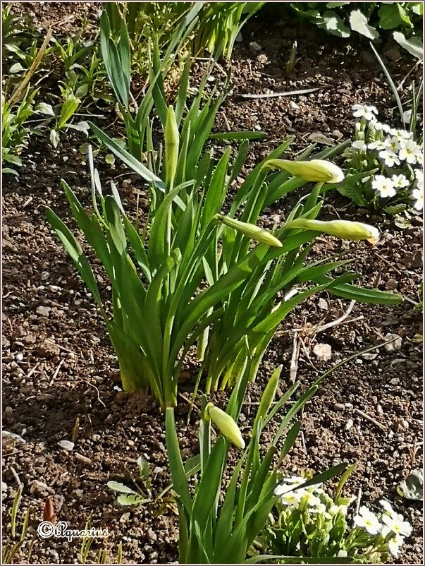 Вечер четверга... - Aquarius - Сергей Вечер четверга... - Aquarius - Сергей