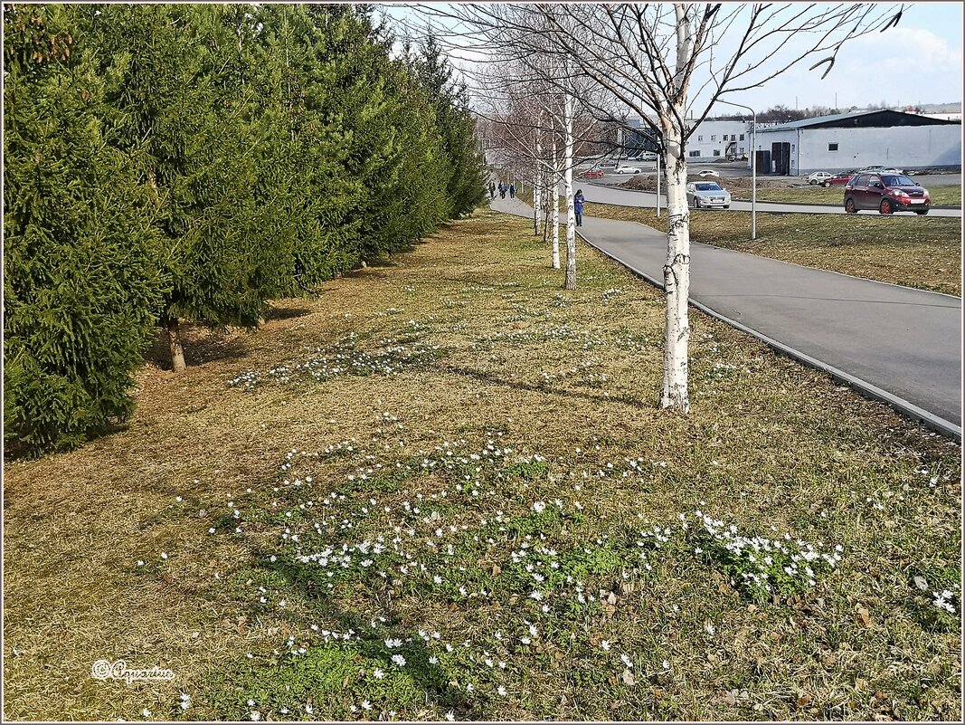 Вечер четверга... - Aquarius - Сергей