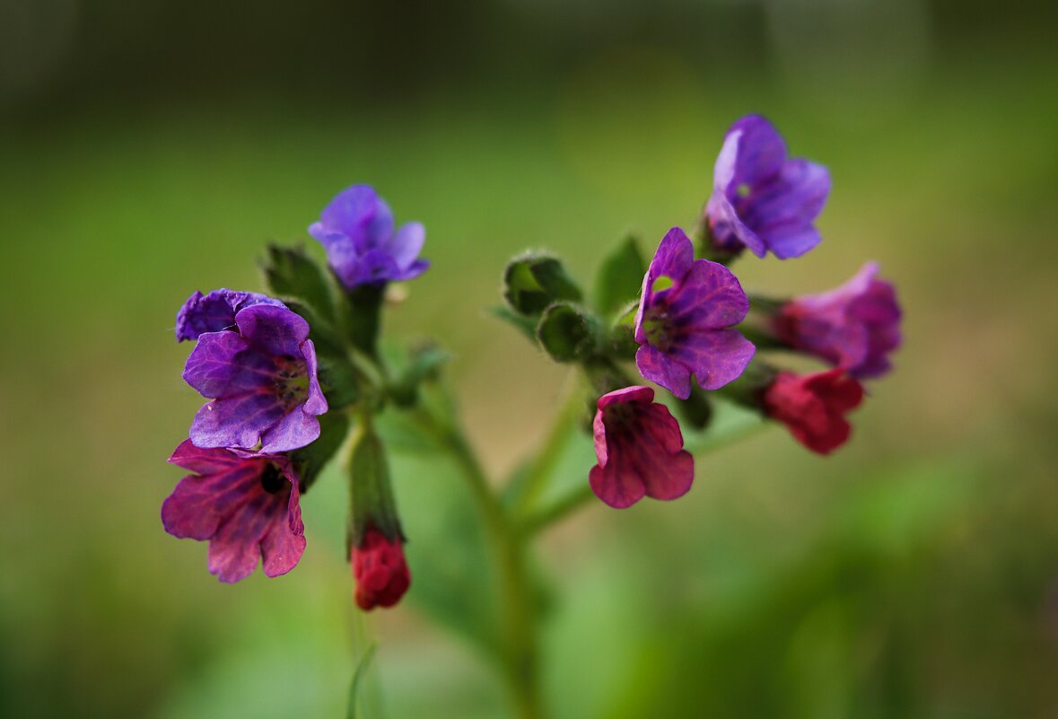 весна - Олег Алексеев
