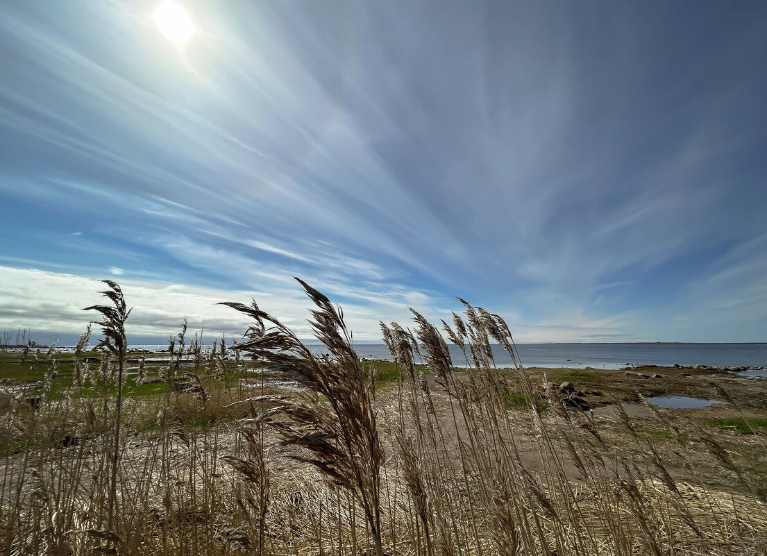 На берегу - Дмитрий Иванов На берегу - Дмитрий Иванов